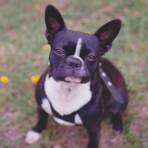 Meet your Posher, Marsha